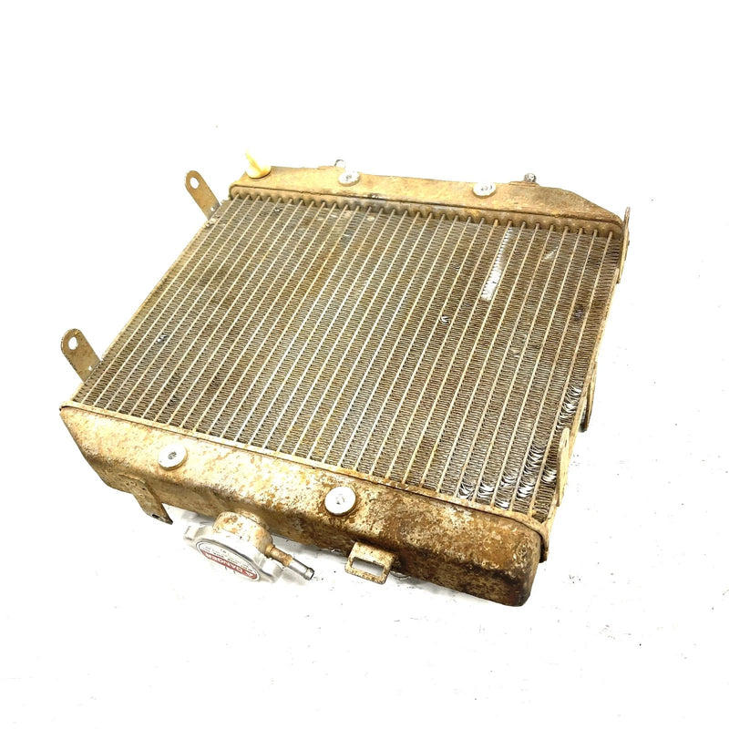 01-04 Honda Foreman Rubicon 500 TRX500 OEM Radiator 19010-HN2-505 AH95