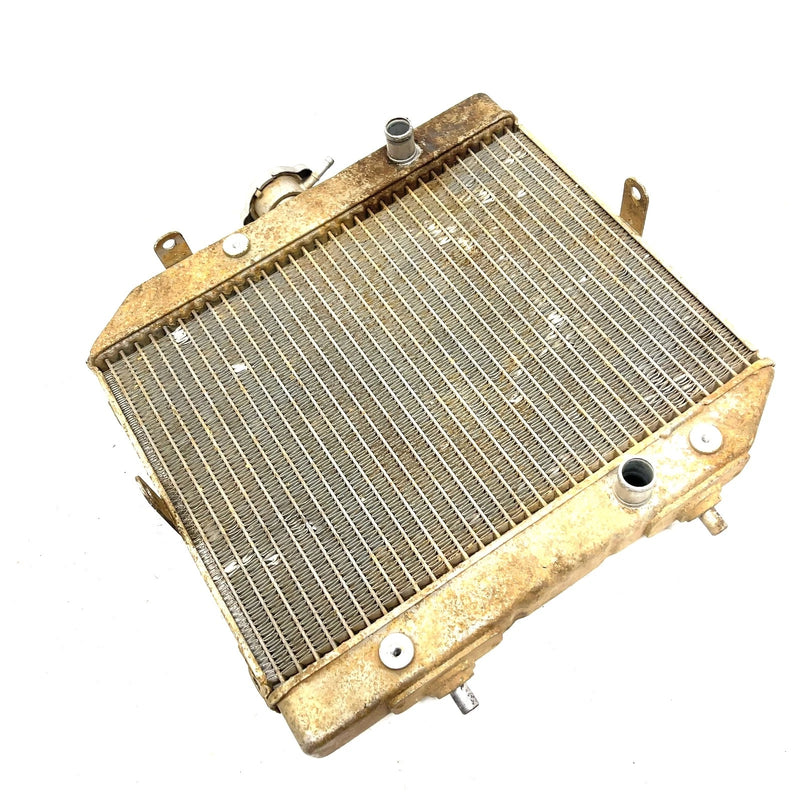 01-04 Honda Foreman Rubicon 500 TRX500 OEM Radiator 19010-HN2-505 AH95