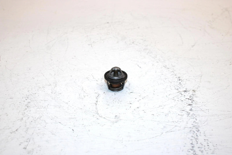 2000 Yamaha  Kodiak 400 Oem Thermostat 2TV-12411-00-00 2TV-12411-01-00 AY26