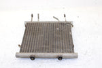 2002 Arctic Cat 375 Automatic (4x4 Green) Oem Radiator 0413-053 AA29
