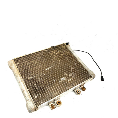 02-04 Polaris Sportsman 700 OEM Radiator 1240534 AP197