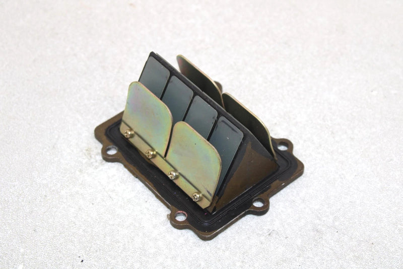 Polaris Oem Intake Reed Valve 1201825 Q1172