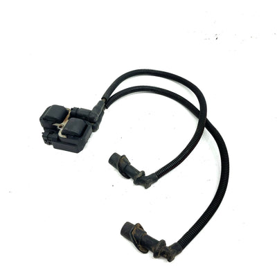 08-13 Polaris RZR 800 OEM Ignition Coil 2876049 XP8