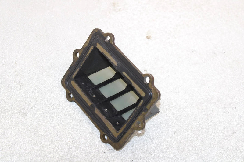Polaris Oem Intake Reed Valve 1201916 Q1166