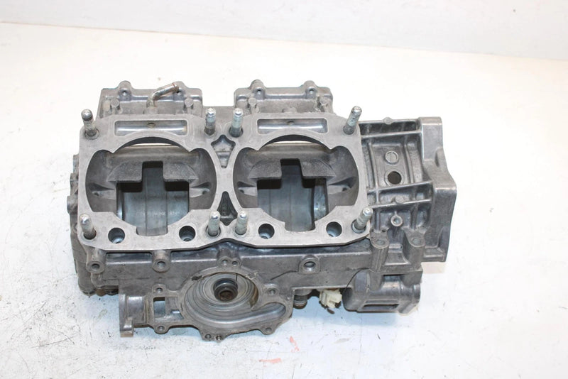 06 Arctic Cat Sabercat 500 Lx Efi Oem Crankcase 3007-612 SA163