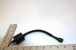 87 Yamaha  Champ 100 Oem Ignition Coil Assy 2JN-82310-M0-00 4RP-82310-26-00 AYS
