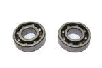 Polaris OEM Bearing Pair (6204) 3231511 Q95