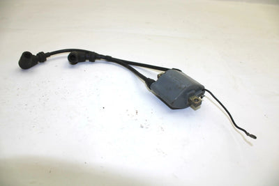 Yamaha OEM Ignition Coil 82m-82310-t0-00 SY50