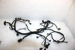 08 Arctic Cat F1000 Sno Pro Efi Oem Main Wire Harness 1686-417 SAS9
