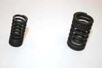 84 Honda Fourtrax 200 Trx200 A Oem Valve Spring Set 14751-383-003 AH33