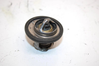 18 Suzuki King Quad 500 Oem Thermostat 11399-31G00 17670-06G61 AS3