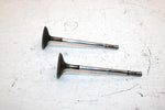 2011 Polaris Ranger 800 Oem Intake Valve Pair 5137265 XP4