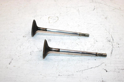 2011 Polaris Ranger 800 Oem Intake Valve Pair 5137265 XP4