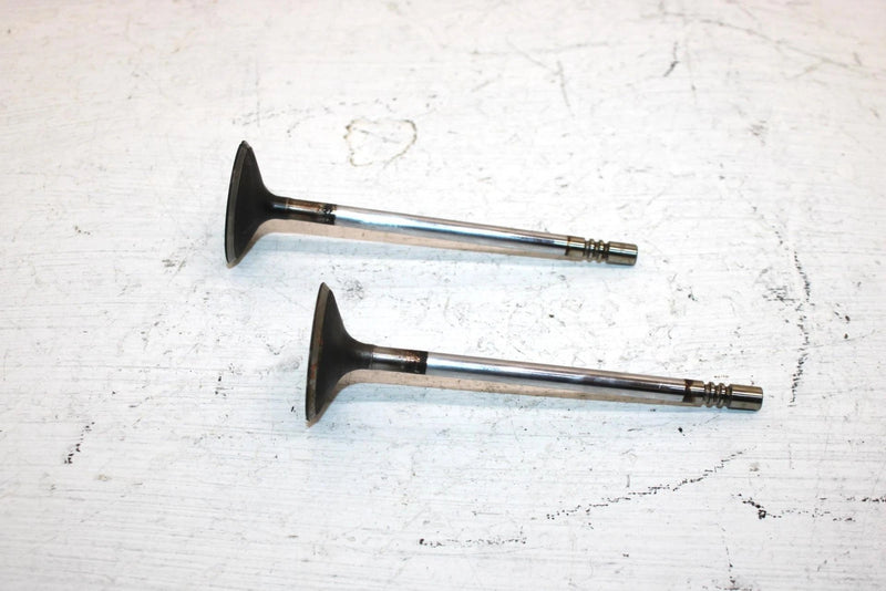 2011 Polaris Ranger 800 Oem Intake Valve Pair 5137265 XP4
