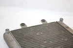 2014 Polaris Sportsman 570 Oem Radiator 1240520 1241477 AP73