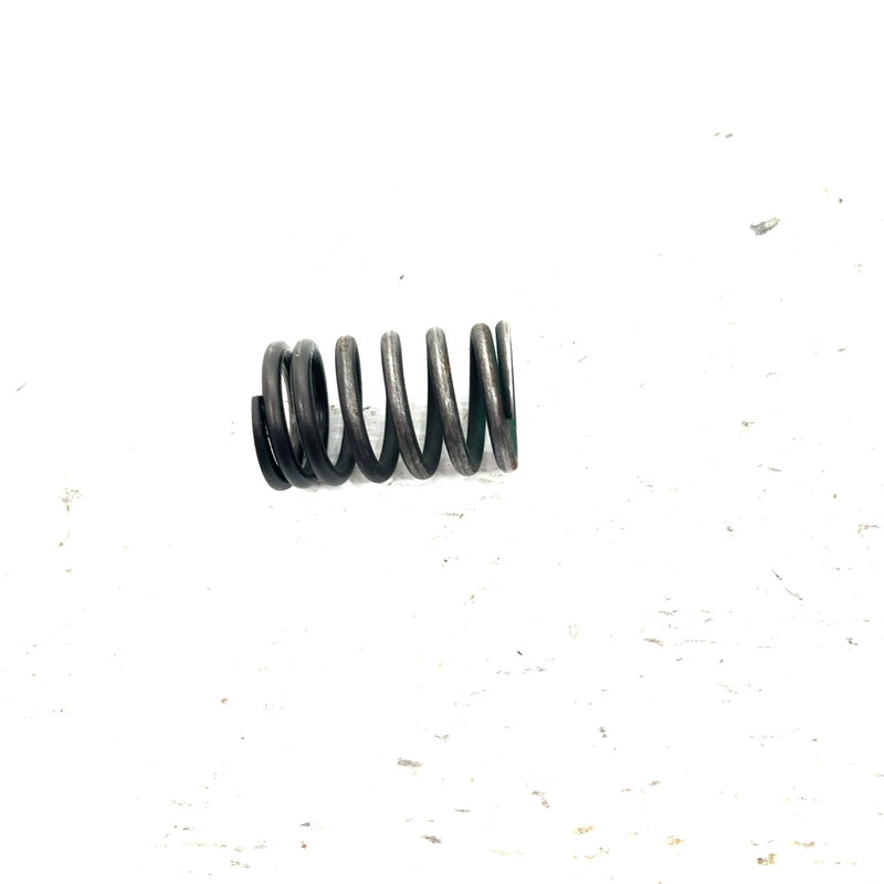 98-02 Suzuki Quadrunner 500 LTF500F 4x4 OEM Valve Spring Set 12920-06B00 Q2796