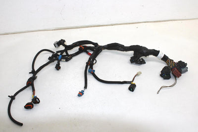 08 Polaris Iq Fst Cruiser Oem Engine Wiring Harness 2410923 SP158