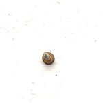 84-87 Suzuki Quadrunner 185 OEM Carb Pilot Adjuster Screw  13279-47070 AS33
