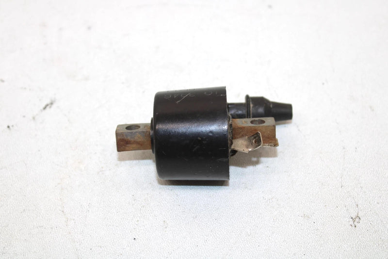1996 Polaris Xplorer 300 Oem Ignition Coil 3083923 AP134