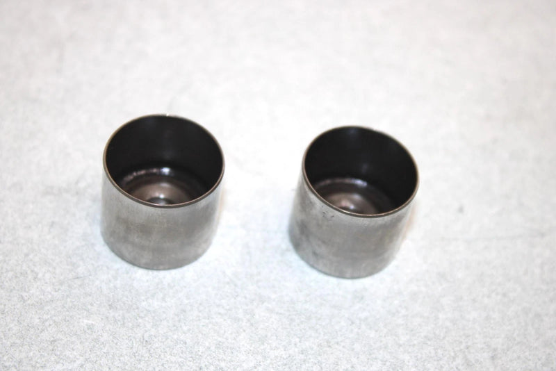 06 Honda Trx 350 Fe A  Oem Cam Follower Set Of 2 14421-HM7-000 AH24