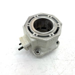 98-01 ARCTIC CAT ZR 500 OEM ENGINE 71mm CYLINDER JUG 3005-212 SA18