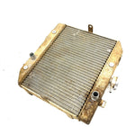 01-04 Honda Foreman Rubicon 500 TRX500 OEM Radiator 19010-HN2-505 AH95