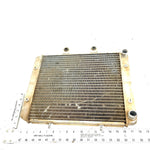 2010 Polaris RZR 800 EFI OEM Radiator 1241480 XP8