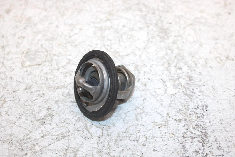 2002 Honda Foreman Rubicon 500 Oem Thermostat 19300-HN2-003 AH53
