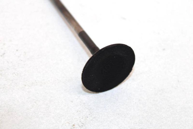 03 Arctic Cat 500 Fis Automatic  Oem Intake Valve 3402-725 AA19