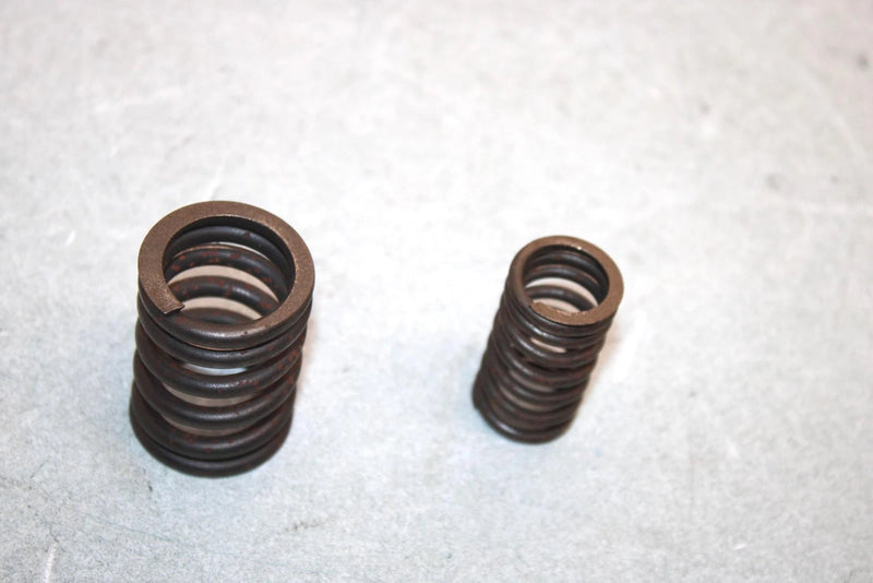 05 Yamaha  Bruin  4wd Hunter  Oem Valve Spring Set 22U-12113-00-00 AY38