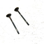 95-98 Polaris Magnum 425 4X4 OEM Exhaust Valve Pair 3085412 AP232