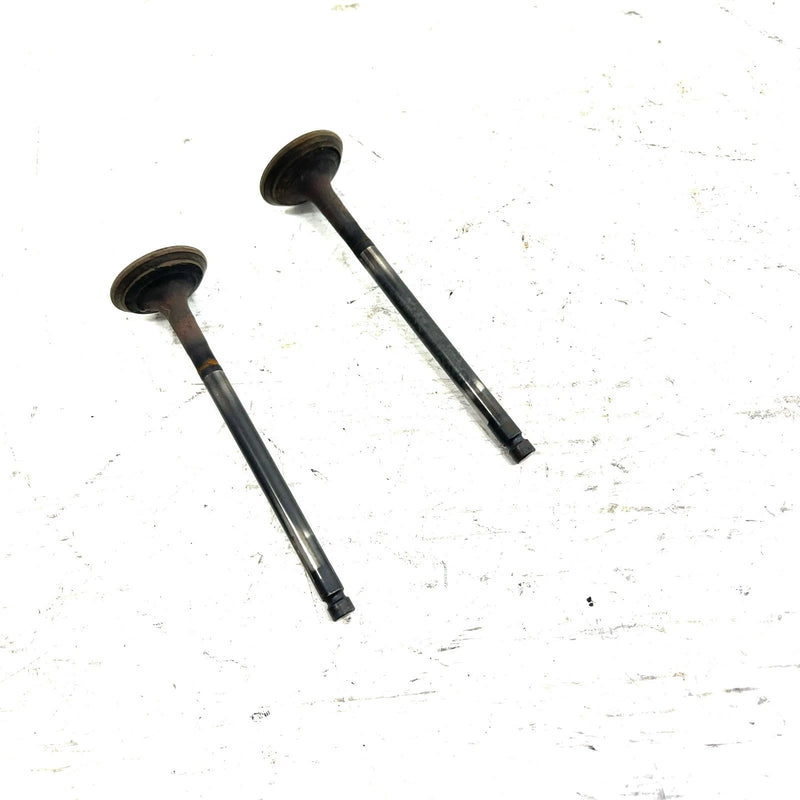 95-98 Polaris Magnum 425 4X4 OEM Exhaust Valve Pair 3085412 AP232