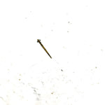 2002 Polaris Scrambler 90 OEM Carburetor Needle 0450090 AP199