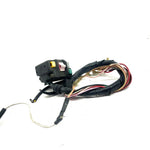 96-98 Polaris Trail Blazer 250 ES OEM Left Control Switch 4110192 AP217