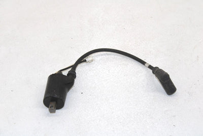 05 Polaris Rmk 900 Oem Ignition Coil MAG 4011105 SP178