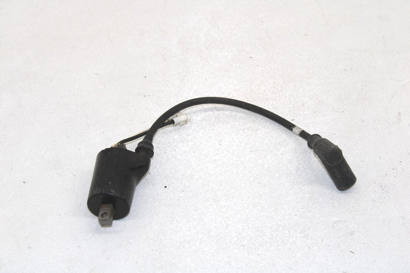 05 Polaris Rmk 900 Oem Ignition Coil MAG 4011105 SP178