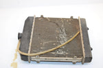 10 Arctic Cat Atv 700 H1 Efi 4x4 Automatic  Oem Radiator 0413-205 AA10