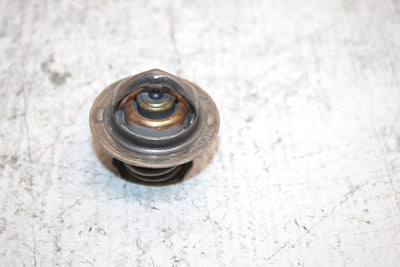 2014 Polaris Sportsman 570 Oem Thermostat 7052496 AP73
