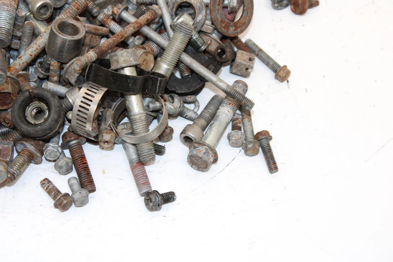 2004 Kawasaki Kfx 700 Oem Nut Bolt Spacer Hardware Kit AK30