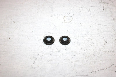 2011 Polaris Ranger 800 Oem Outer Valve Seat Pair 5910329 XP4