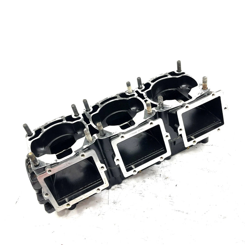 2000 Polaris Genesis FFI OEM Crankcase 2201562 JP51