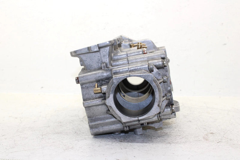2013 Polaris 600 Rush Pro Oem Crankcase 2205173 SP30.1