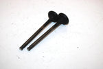 04 Polaris Sportsman 500 Oem Exhaust Valve Set 3085412 AP44