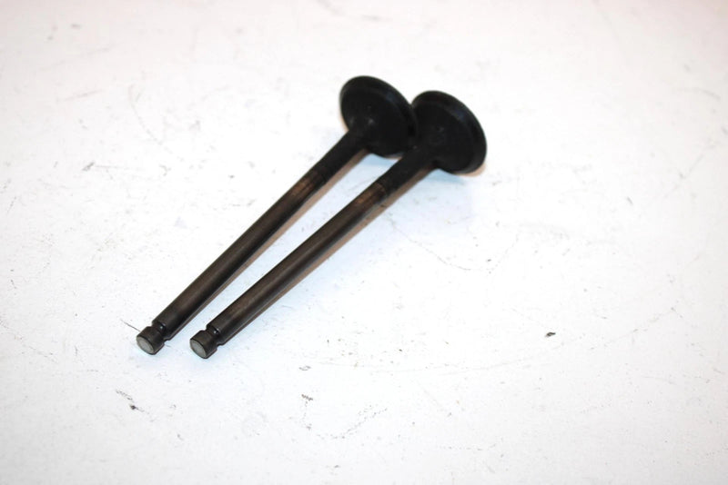 04 Polaris Sportsman 500 Oem Exhaust Valve Set 3085412 AP44