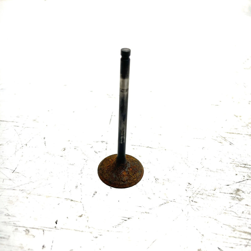 91-02 Suzuki King Quad 300 LTF300F 4x4 OEM Intake Valve 12911-19B00 AS34