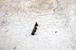 1995 Arctic Cat Z 440 Oem Magnetic Switch Screw Set 0623-137 SA13