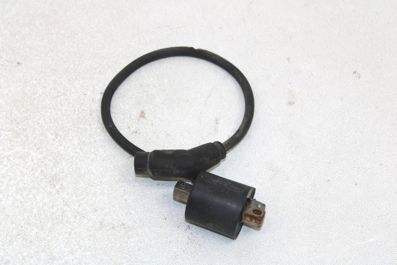 02 Polaris Magnum 325 4x4 Oem Ignition Coil 3086484 3087036 AP123