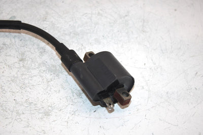 96 Suzuki King Quad 300 Ltf4wdx Oem Ignition Coil 33410-01X50 AS21