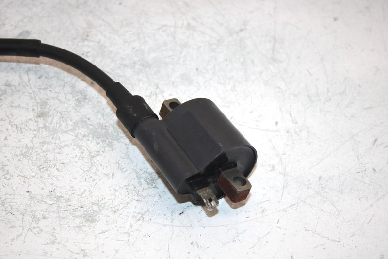96 Suzuki King Quad 300 Ltf4wdx Oem Ignition Coil 33410-01X50 AS21