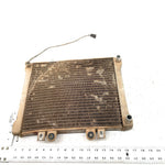 02-04 Polaris Sportsman 700 OEM Radiator 1240534 AP219